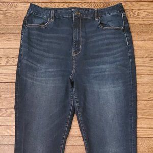 American Eagle Curvy High Rise Jeggings